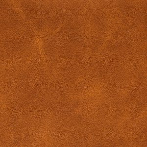 NBV DC: Bijbelhoes Vegan Leather Bruin