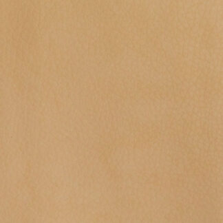 Bijbelhoes Vegan Leather Biscuit