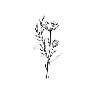 Poppy