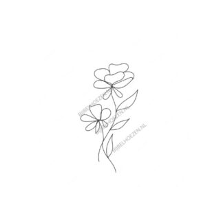 Fragile Bloem