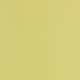 Bijbelhoes Silverguard Sandstone
