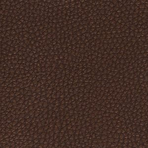 GBS zakbijbel hoogte 12,8 cm x omtrek (3 zijdes, zonder blz): 21 cm Bijbelhoes vegan leather mocca