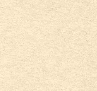 GBS zakbijbel hoogte 12,8 cm x omtrek (3 zijdes, zonder blz): 21 cm Bijbelhoes Vilt beige