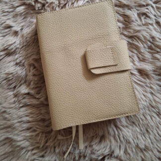 BGT 18,8x 29.3: Bijbelhoes leer Champagne