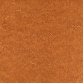 Bijbelhoes Vegan Leather Cedar