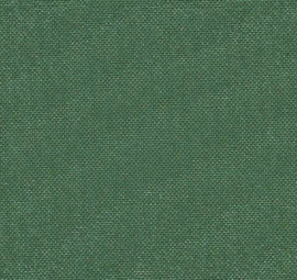 Bijbelhoes canvas Donker Groen